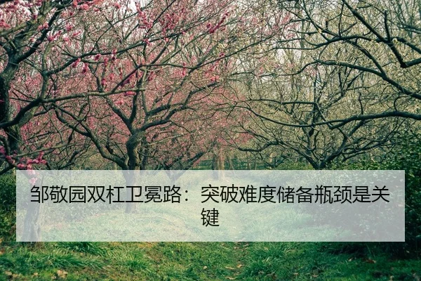 zou-jing-yuan-shuang-gang-wei-mian-lu-tu-po-nan-du-chu-bei-ping-jing-shi-guan-jian-2-474.jpg